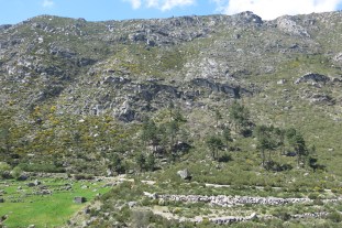 SERRA DA ESTRELA.JPG